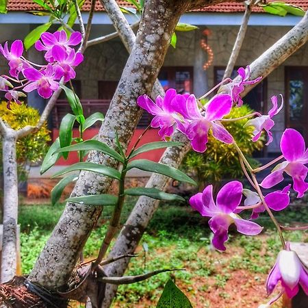Vedic Heritage Boutique Hotel Kovalam Εξωτερικό φωτογραφία