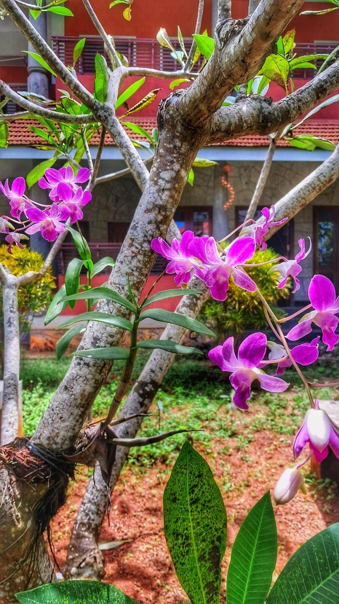 Vedic Heritage Boutique Hotel Kovalam Εξωτερικό φωτογραφία