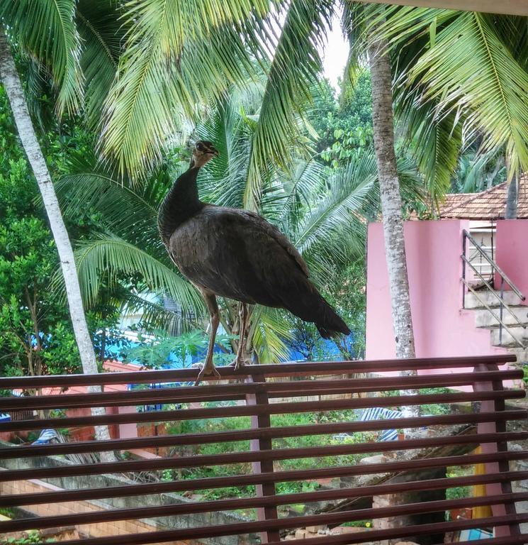 Vedic Heritage Boutique Hotel Kovalam Εξωτερικό φωτογραφία