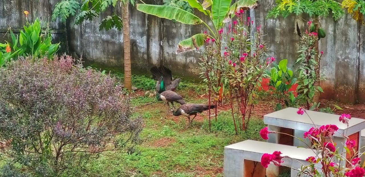 Vedic Heritage Boutique Hotel Kovalam Εξωτερικό φωτογραφία